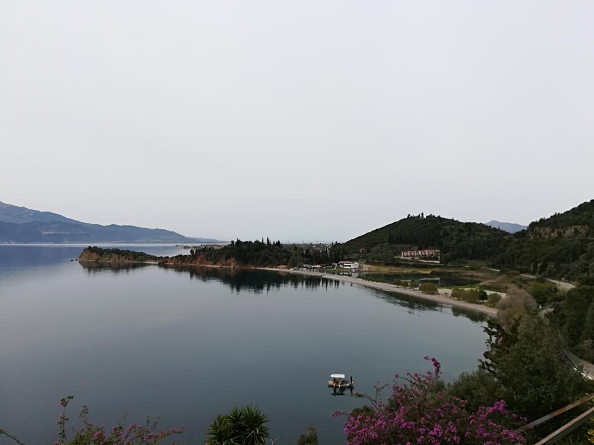 Thea Monastiraki Bed & Breakfast Exterior foto